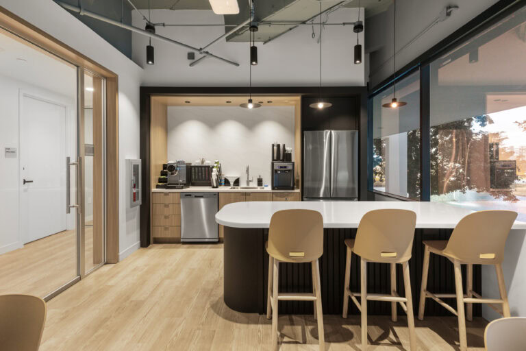 Modern kitchen renovation with sleek appliances and contemporary design by LAY Construction.